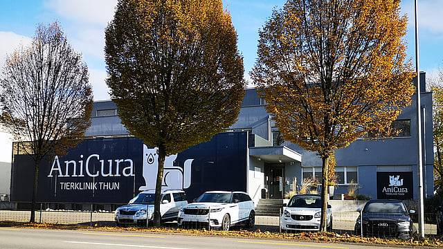 Ein Gebäude mit Autos, vor denen geparkt ist.