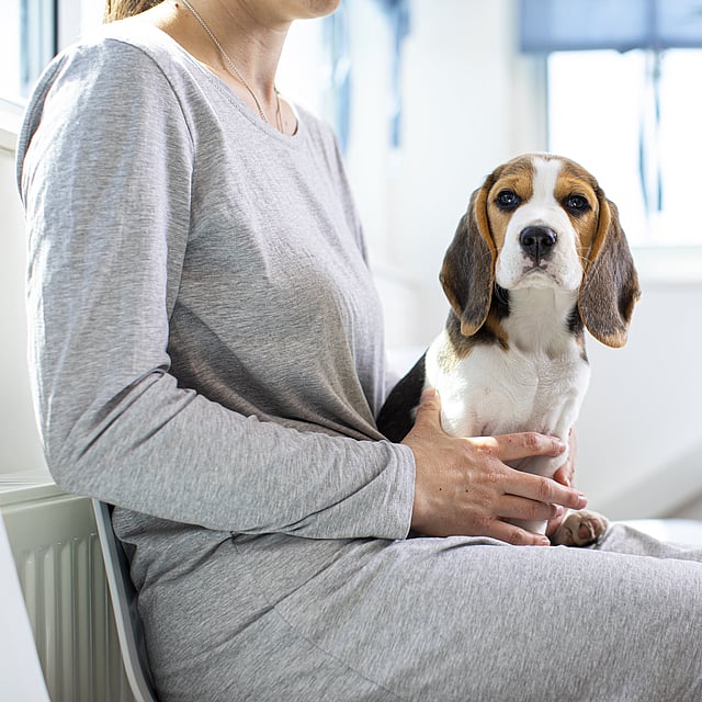 A person holding a dog.