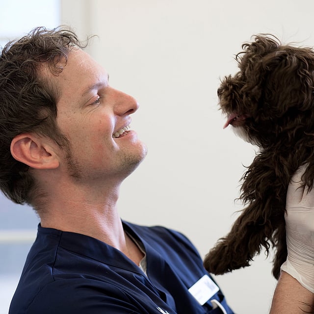 A person holding a dog.