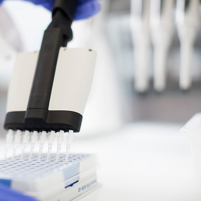 Eine Person, die eine Pipette über eine Platte hält.