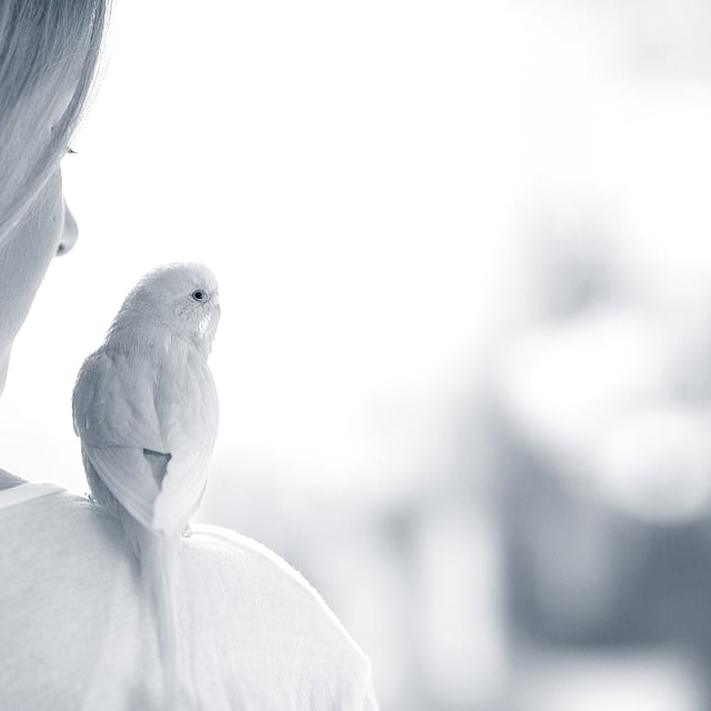 Ein Vogel auf der Schulter eines Menschen.