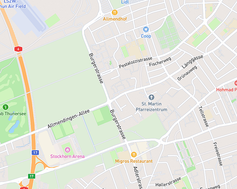Eine Karte, die den Standort von AniCura Tierklinik Thun zeigt