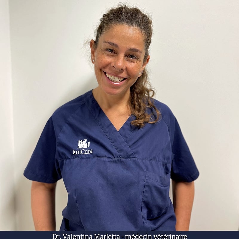 Photo de Dr. med. vet. Valentina Marletta, Vétérinaire