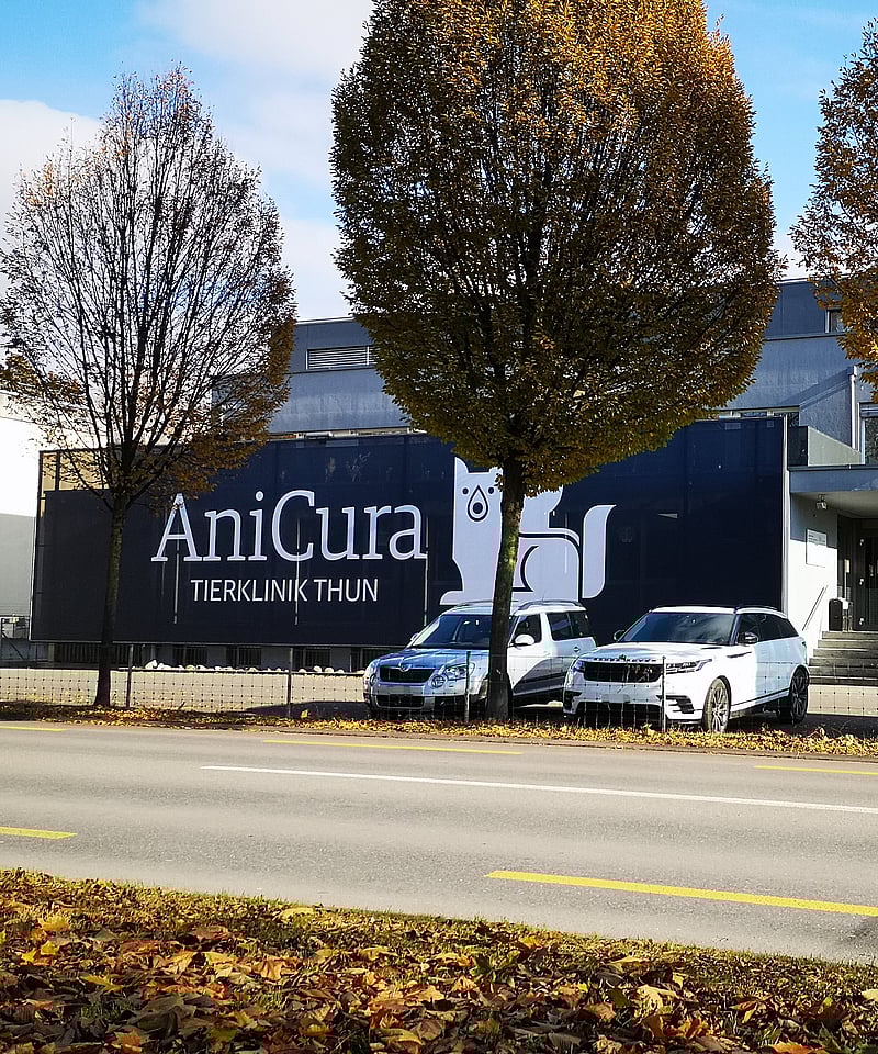 Ein Gebäude mit Autos, vor denen geparkt ist.
