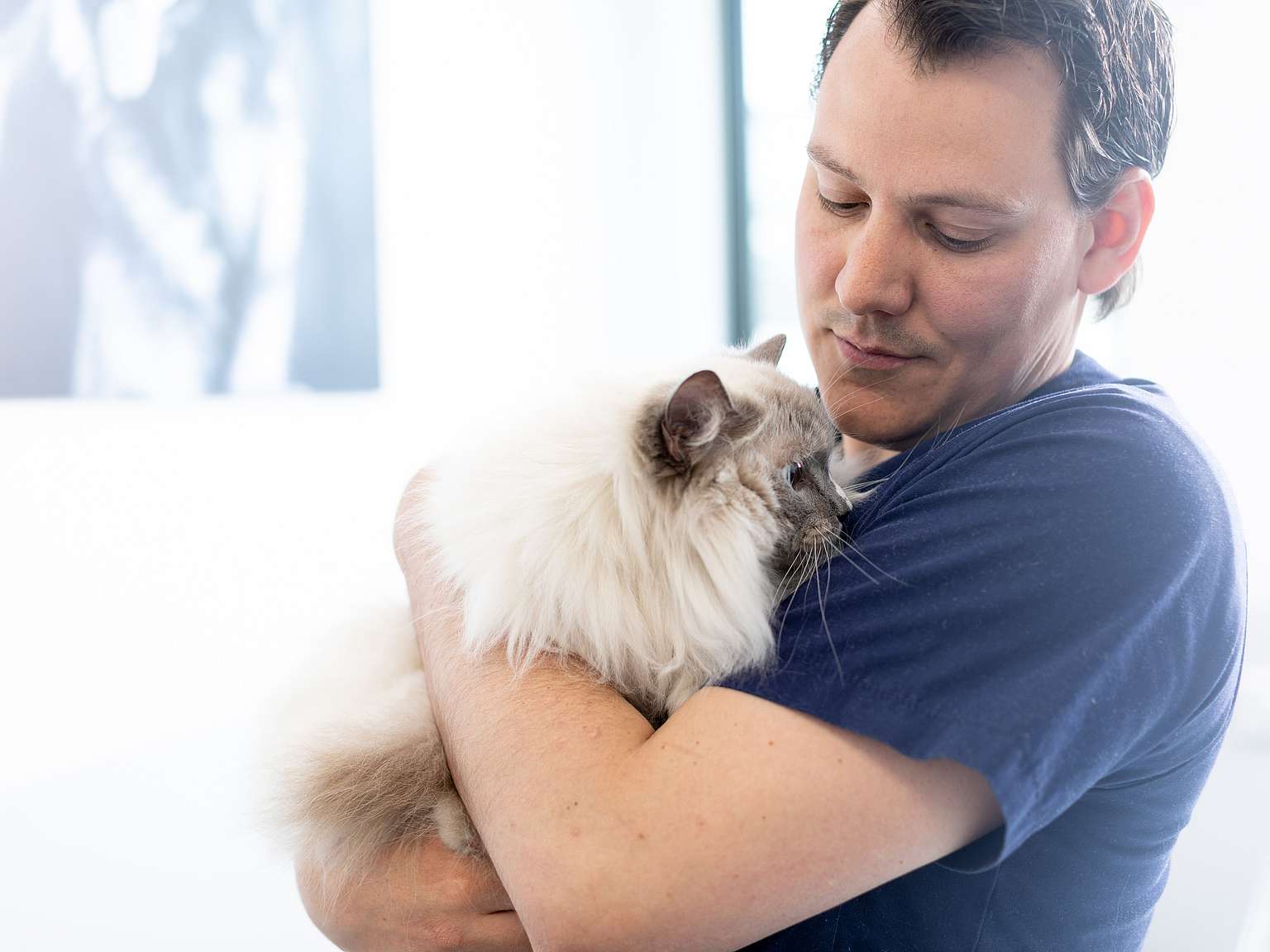 Un homme tient un chat dans ses bras