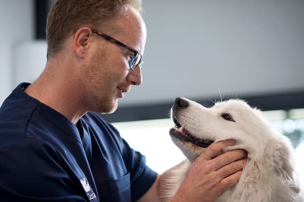 A person holding a dog.