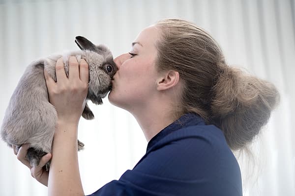 Eine Person, die ein Kaninchen küsst.