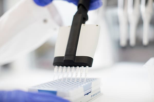 Eine Person, die eine Pipette über eine Platte hält.