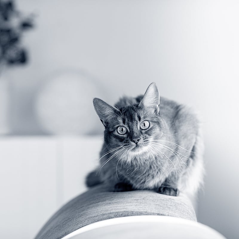 Foto von Dajana Arnold, Tpa