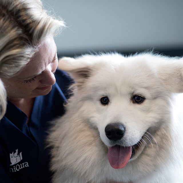 A person holding a dog.