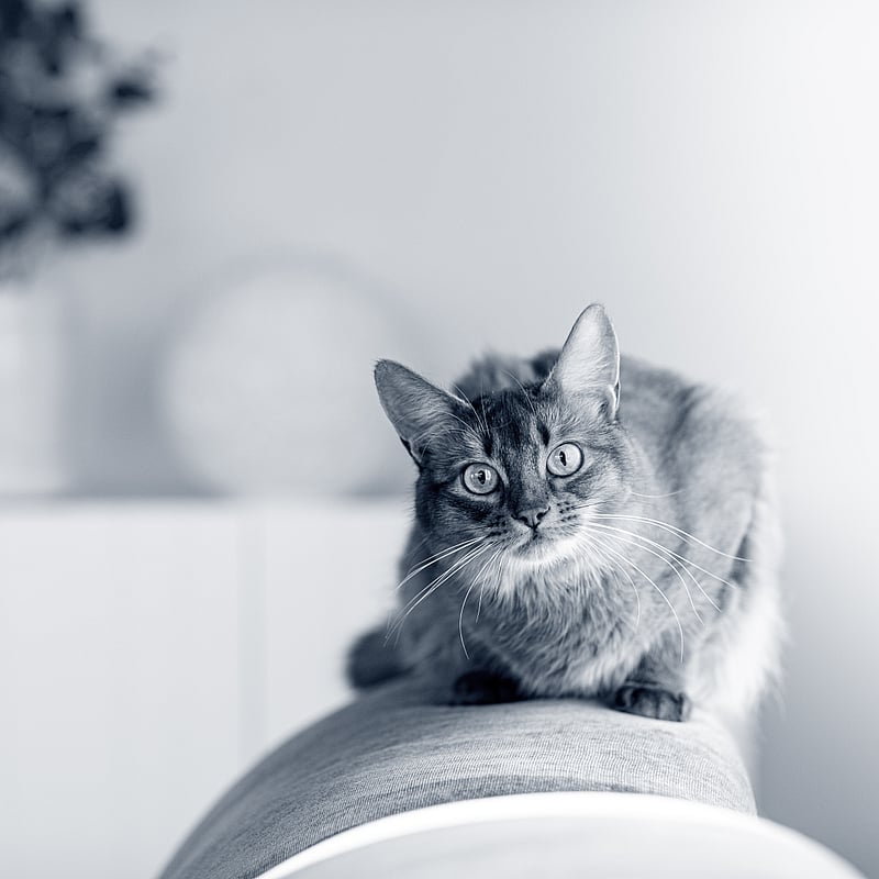 Foto von Chantal Gerber, Tpa