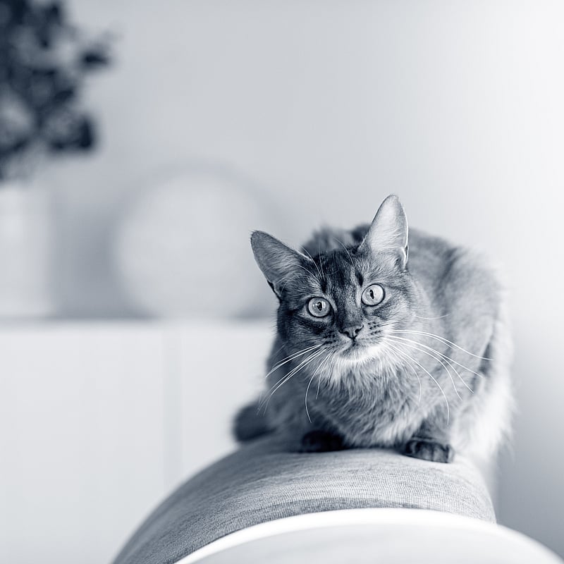 Foto von Moris Trösch, Zentrale Dienste