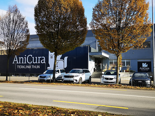 Ein Gebäude mit Autos, vor denen geparkt ist.