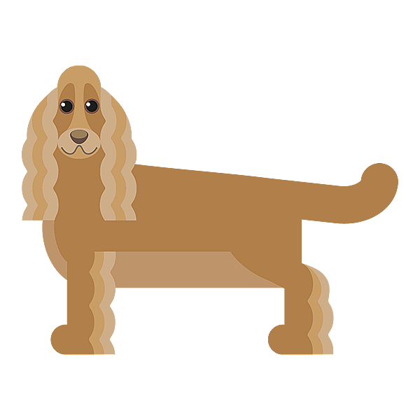Ein Hund mit langen Haaren.