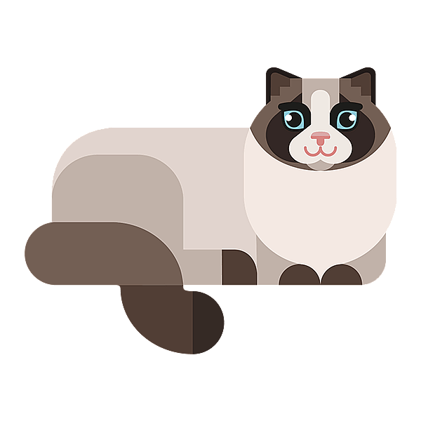 Eine Katze mit schwarzem Hintergrund.