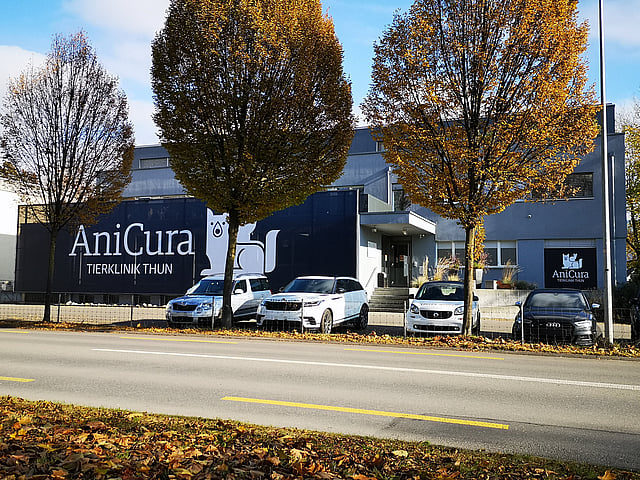 Ein Gebäude mit Autos, vor denen geparkt ist.