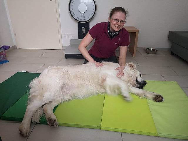 Eine Person, die mit einem Hund auf einer Matte liegt.