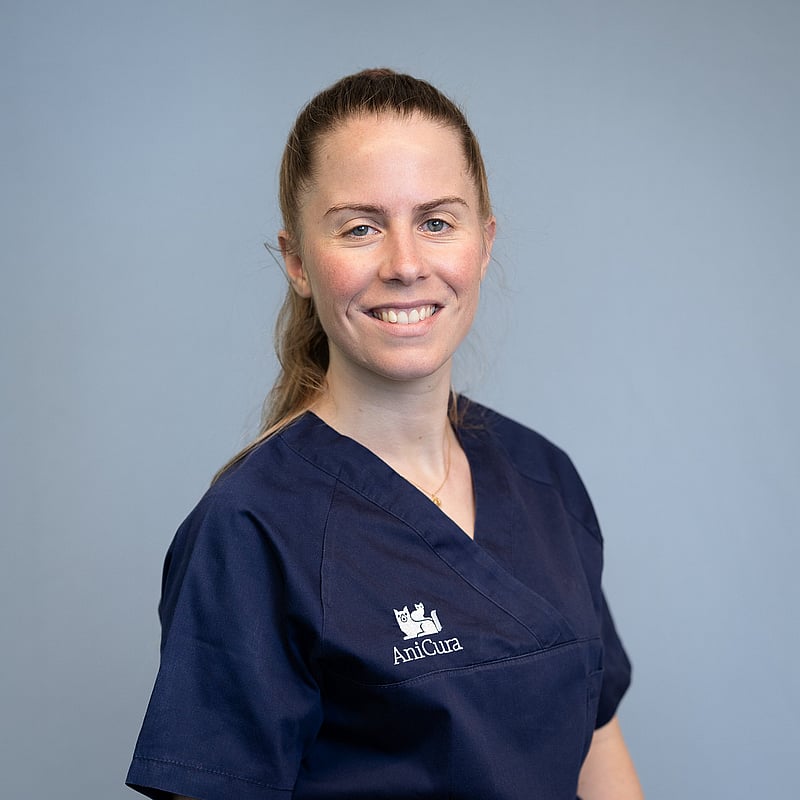 Foto von Elena Ferrer, Med. Vet.