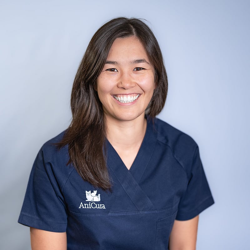 Foto von Sophia Jenni, Med. Vet.