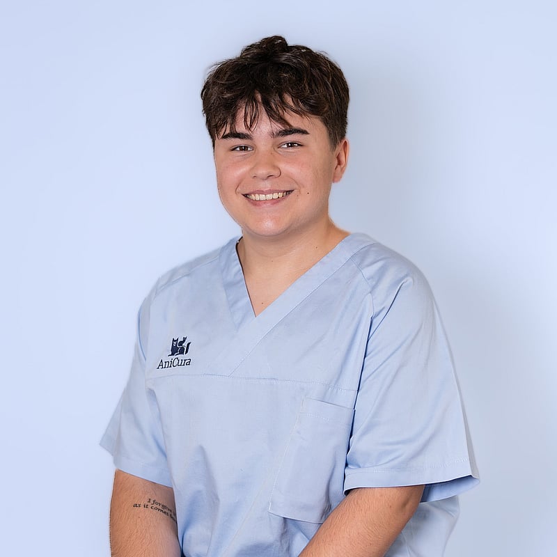 Foto von Elvis Stucki, Lernender