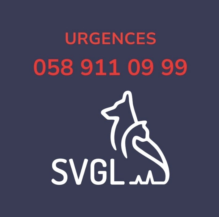 SVGL