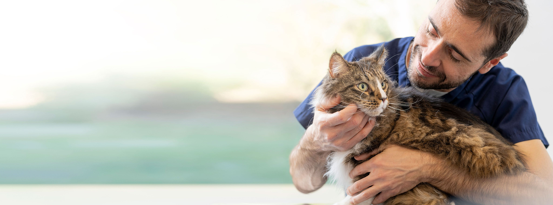 A veterinarian holding a cat.